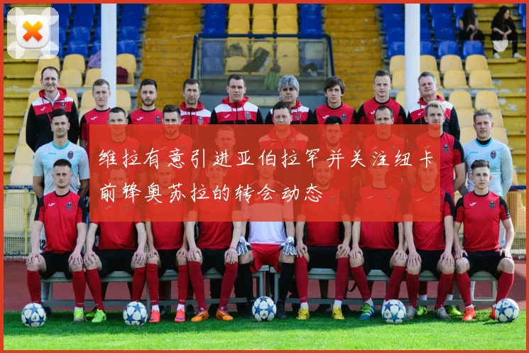 维拉有意引进亚伯拉罕并关注纽卡前锋奥苏拉的转会动态